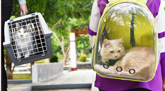 How to choose the perfect pet carrier for your pet.