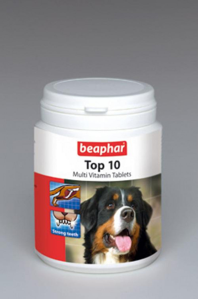 Top 10 Dog Multi Vitamins 180 tabs Maryam s Pet