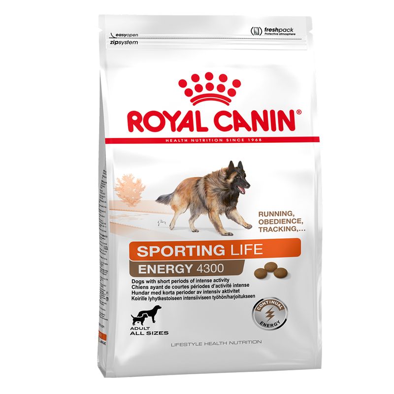 Royal canin energy 4300 top