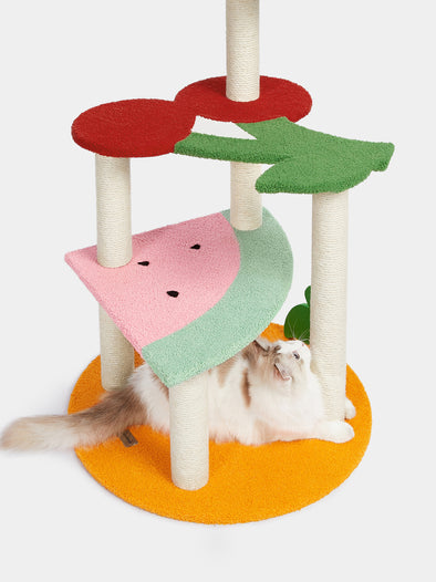 Fruit-Shaped Cat Climber