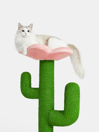 Blooming Cactus Cat Tree