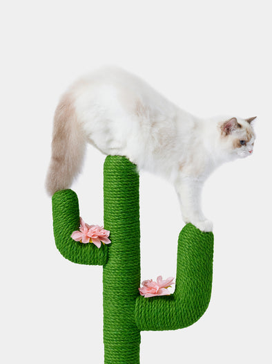 Oasis Cactus Mini Cat Tree