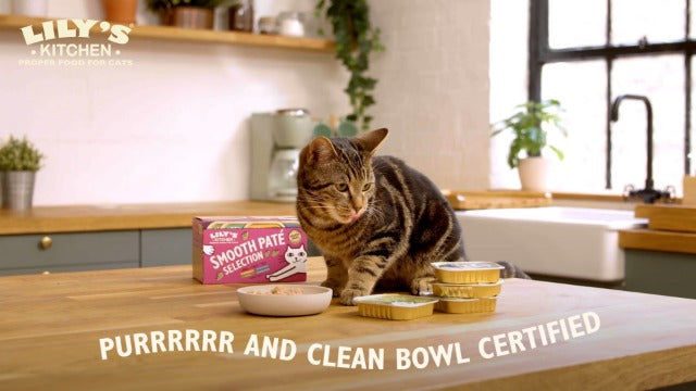 Lily's Kitchen Paté Selection Multipack Wet Cat Food 8X85G