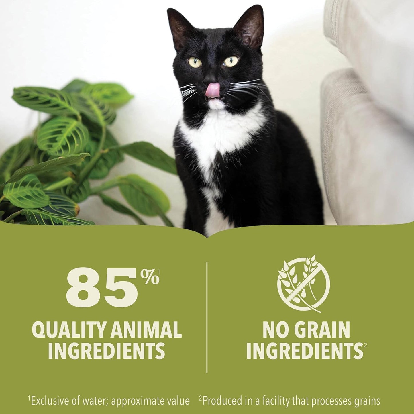 Acana Premium Lamb Pate Cat Wet Food 85G