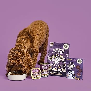 Lily's Kitchen Senior Recipe Dog Wet Food 6x400G