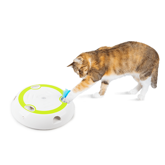 All For Paws Interactive Cat Wack 'A' Feather