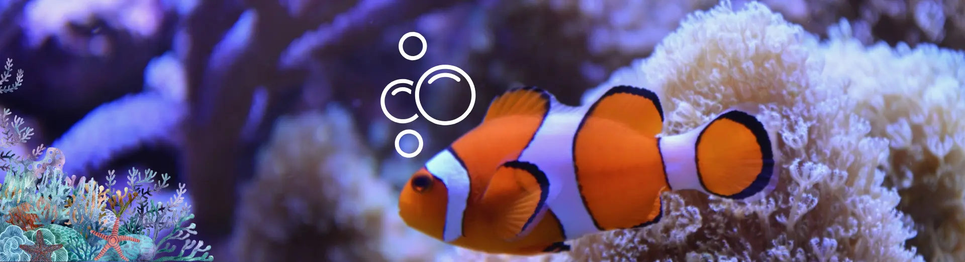 Buy Aquarium Accessories Products Online in Oman | Maryam's Pet