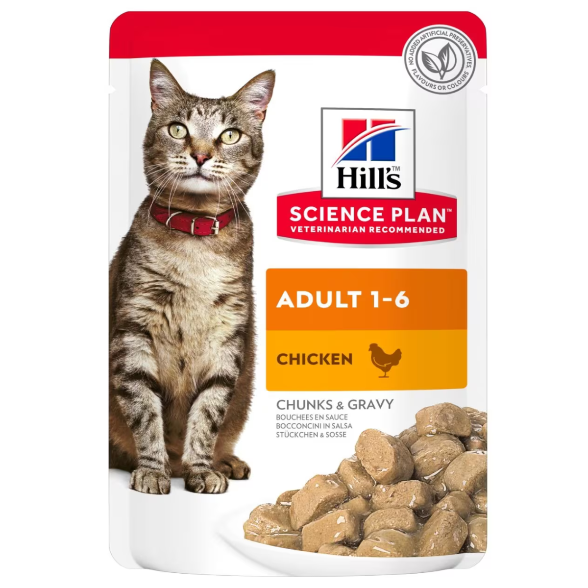 Adult wet cat food best sale