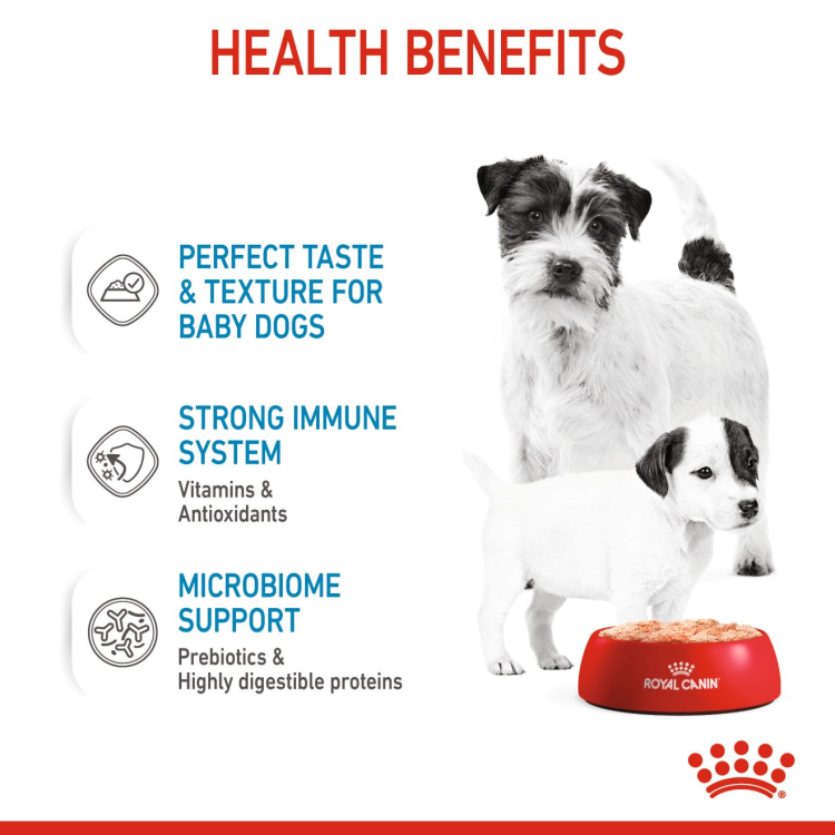 Canine Health Nutrition Starter Mousse (12 Wet Food Cans)