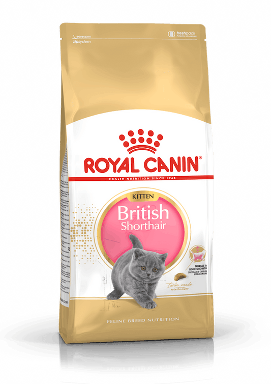 Royal Canin Feline Breed Nutrition (British Shorthair Kitten) - 2kg