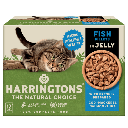 Fish in Jelly Wet Cat Food - Pack of 12