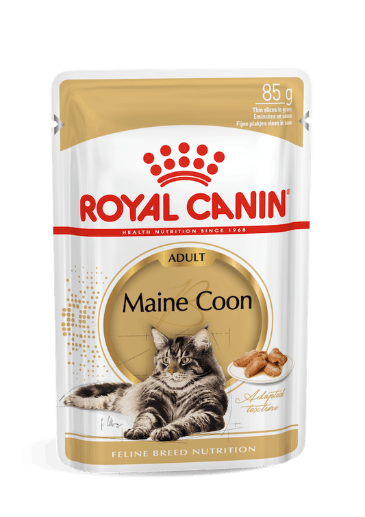 Royal Canin Feline Breed Nutrition Maine Coon - 12 Wet Food Pouches