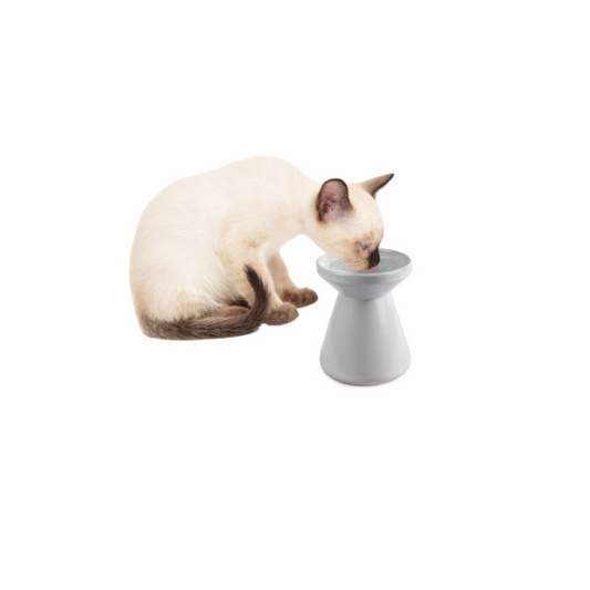 Elevated Pet Water Bowl - White