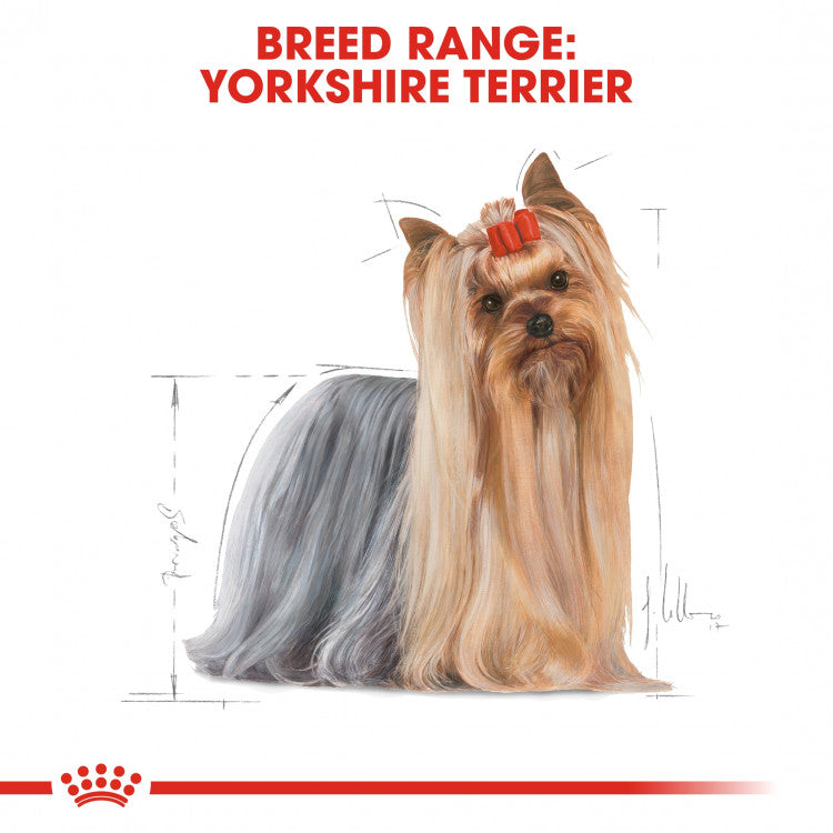 Breed Health Nutrition Yorkshire Adult - 12 Wet Food Pouches