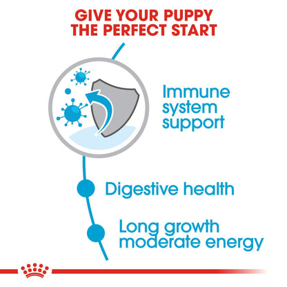 Size Health Nutrition (Maxi Puppy)