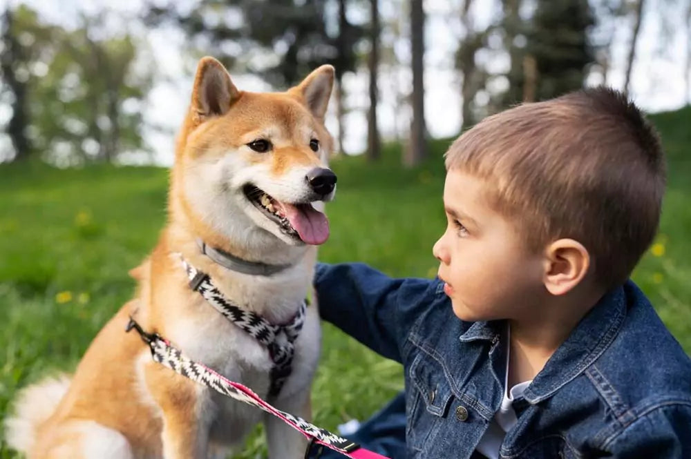 best dogs for kids