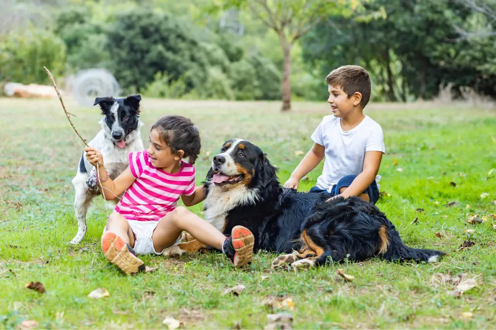 Best dogs for kids