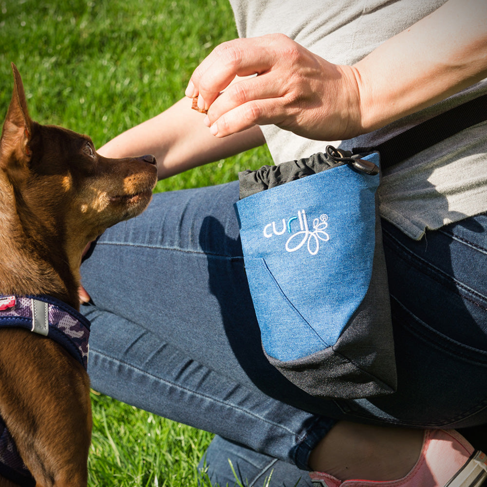 Curli Treat Bag V2