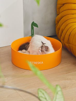 Tangerine Cat Litter Box