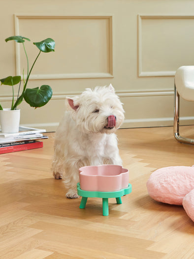 Flora Ceramic Pet Bowl - L