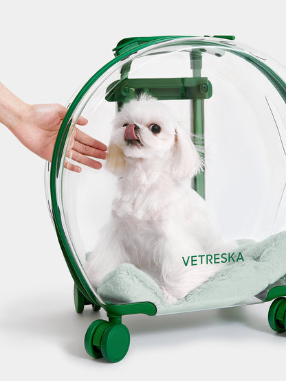 Bubble Pet Carrier (Green & Transparent)