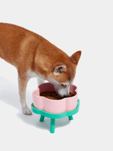 Flora Ceramic Pet Bowl - M