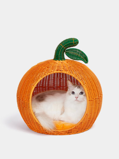 Tangerine Rattan Pet Bed