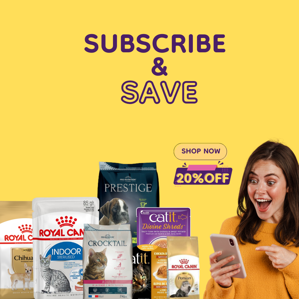 Maryams Pet Oman's First Subscription Based Online Pet Store Maryam