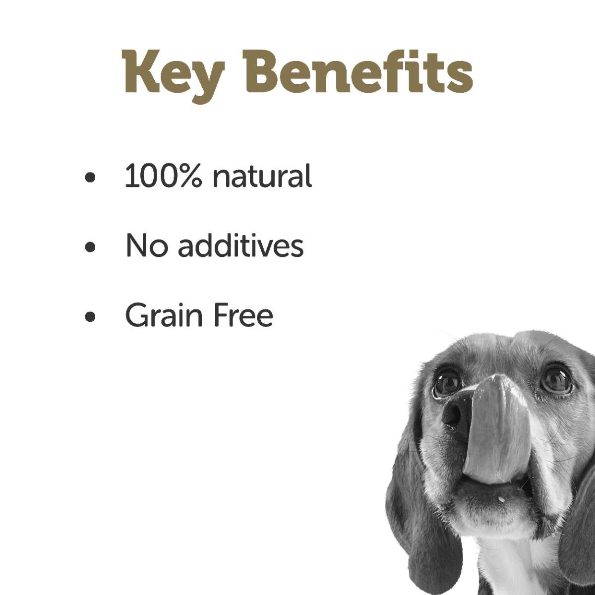 Applaws Taste Toppers Chicken Bone Broth with Turmeric & Parsley Wet Dog Food Pouch 200g