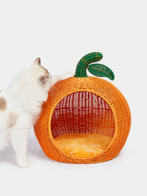 Tangerine Rattan Pet Bed