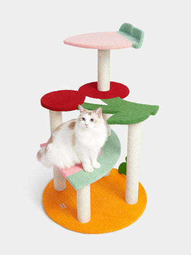 Fruit-Shaped Cat Climber