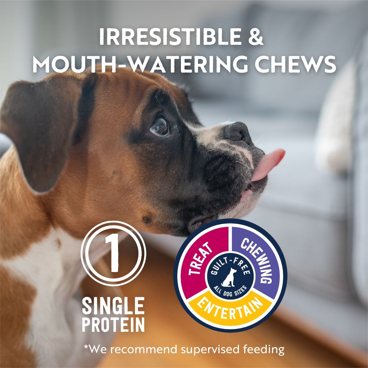 ZIWI Peak Lamb Trachea Dog Treats 60g
