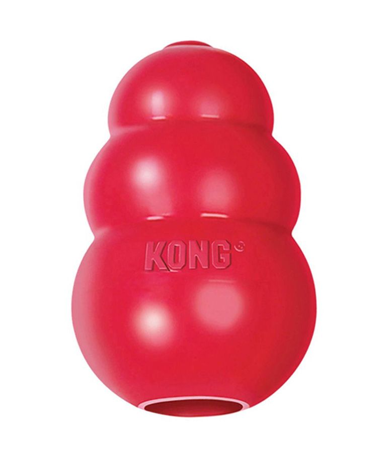 Kong Classic Dog Toy