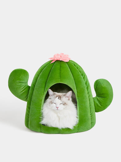 Oasis Cactus Pet Bed