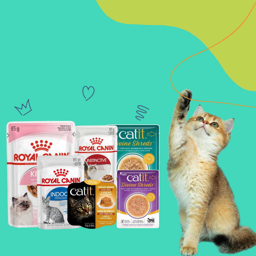 Online cat hotsell food suppliers