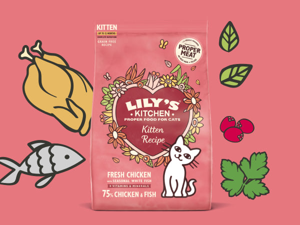Lily's Kitchen Chicken & White Fish Kitten Dry Food 800gms