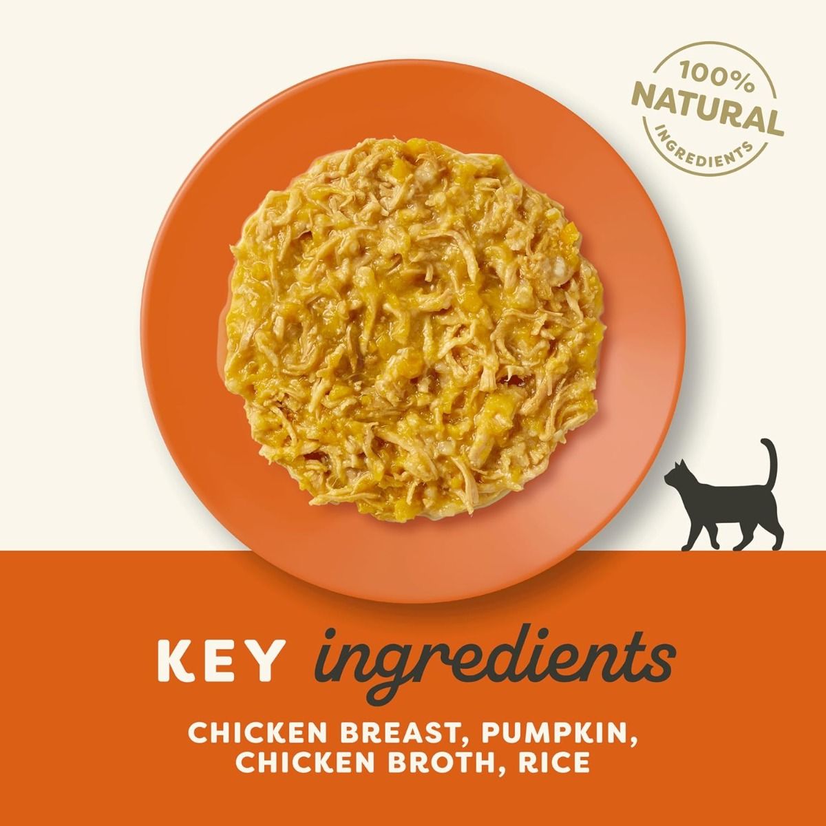 Applaws Chicken with Pumpkin in Broth Wet Cat Food 70g Pouch