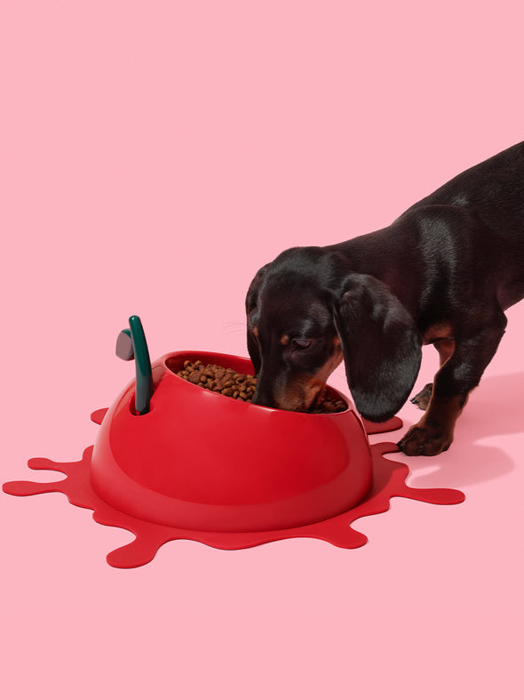 Juicy Cherry Pet Bowl, Spoon & Mat Set