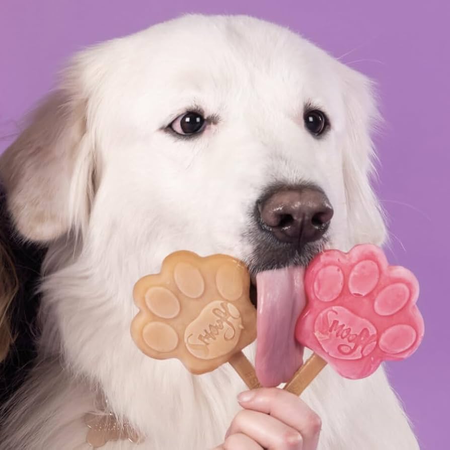 Smoofl Small Starter Kit for Dog Ice Treats - 210G