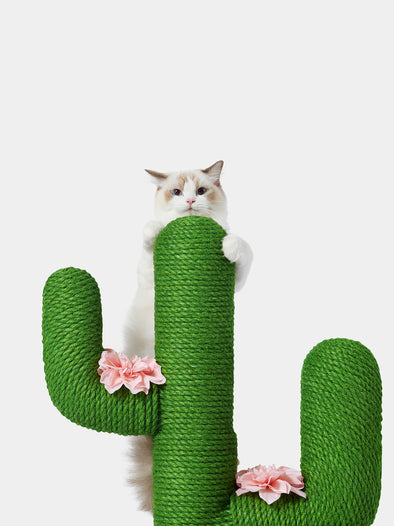 Oasis Cactus Cat Tree