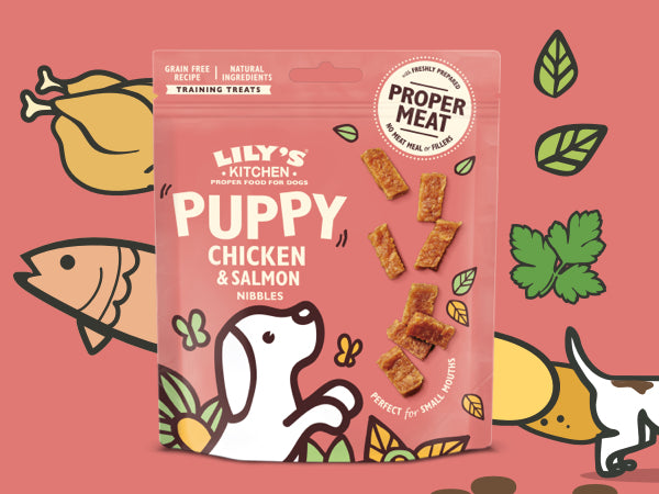 Lily's Kitchen Chicken and Salmon Nibbles Puppy Treats 70G