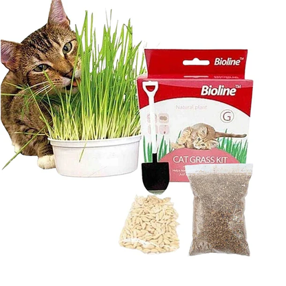 Bioline Catgrass Kit 12g