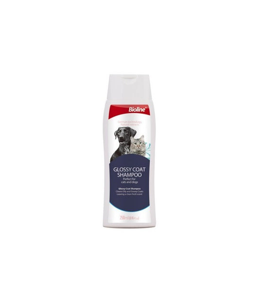 Bioline Glossy Coat Shampoo-Dogs And Cats - 250ml