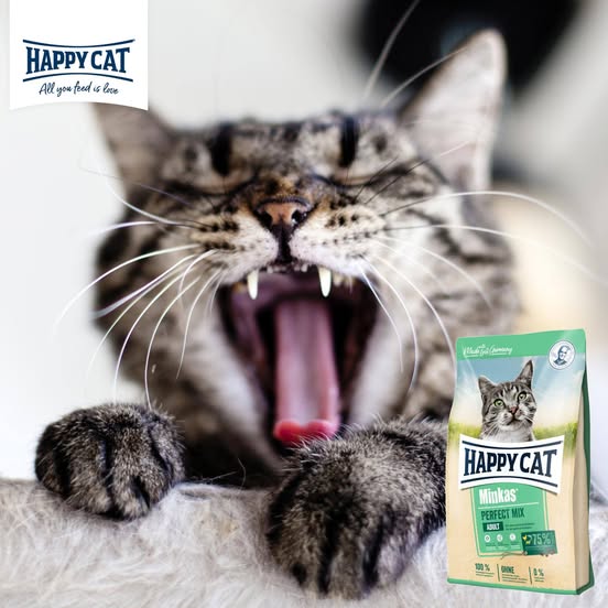 HAPPY CAT Duo hapjes op paté rund 12 x 100 g Gevogelte en rund 12x100 g | MAXI ZOO HAPPY CAT Duo hapjes op paté rund 12 x 100 g Gevogelte en rund 12x100 g | MAXI ZOO