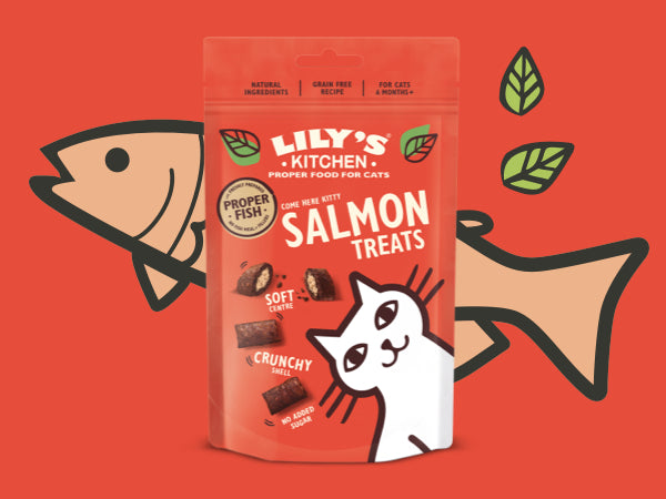 Lily's Kitchen Salmon Pillow Cat Treats 60G
