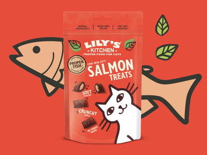 Lily's Kitchen Salmon Pillow Cat Treats 60G