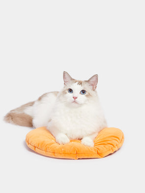 Tangerine Rattan Pet Bed