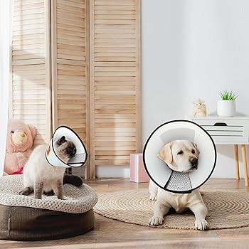 Trixie Protective Collar with Velcro for Dogs & Cats