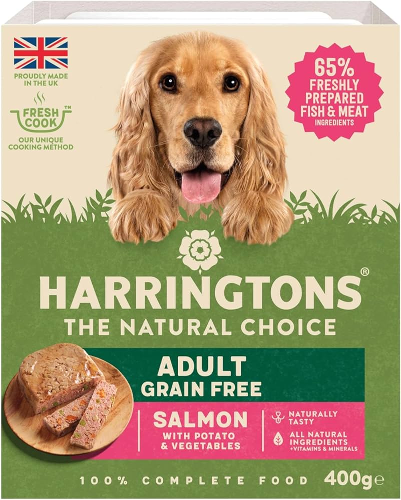 Salmon Adult Wet Dog Food - 400g