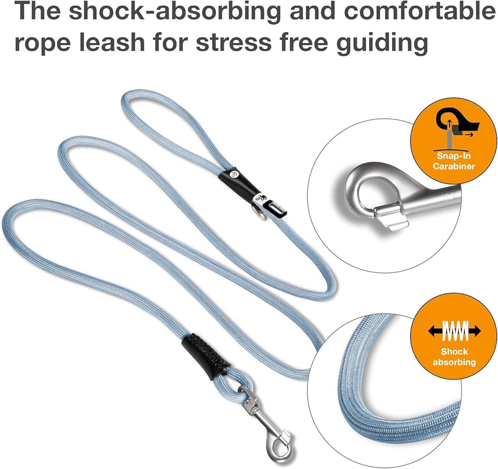 Curli Stretch Comfort Leash for Dogs - Large